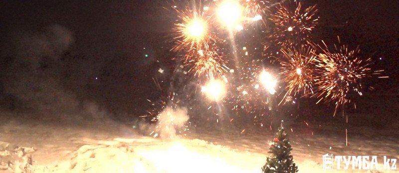 Ол қынапқа тауықты қойды.